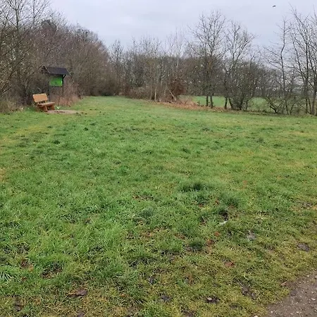 Cozy Near Nature And Celle