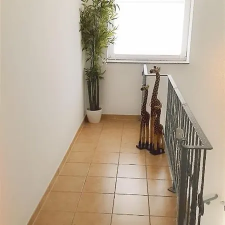Cozy Near Nature And * Celle