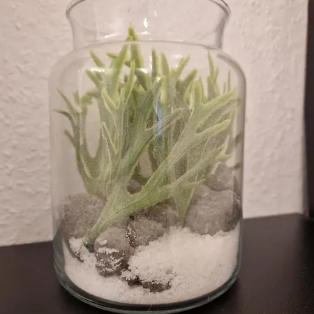Cozy Near Nature And Apartment *